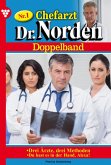 Chefarzt Dr. Norden (eBook, ePUB)