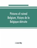 Pictures of ruined Belgium, Visions de la Belgique de¿truite