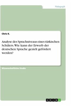 Analyse des Sprachniveaus eines türkischen Schülers. Wie kann der Erwerb der deutschen Sprache gezielt gefördert werden?