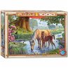 Eurographics 6000-0976 - Fell Ponies... - Bild 1