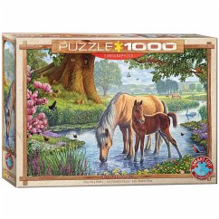 Eurographics 6000-0976 - Fell Ponies von Steve Crisp , Puzzle, 1.000 Teile