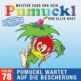 78: Pumuckl wartet auf die Bescherung (Das Original aus dem Fernsehen) (MP3-Download)