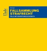 Fallsammlung Strafrecht