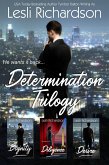 Determination Trilogy Box Set: Dignity, Diligence, Desire (eBook, ePUB)