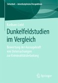 Dunkelfeldstudien im Vergleich (eBook, PDF)