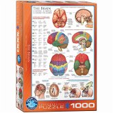 Eurographics 6000-0256 - Das Gehirn , Puzzle, 1.000 Teile