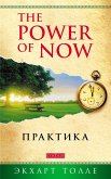 Practicing the Power of Now (eBook, ePUB)