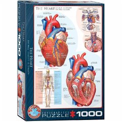 Eurographics 6000-0257 - Das Herz , Puzzle, 1.000 Teile Cover Eurographics 6000-0257 - Das Herz , Puzzle, 1.000 Teile