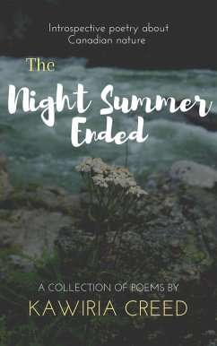Cover The Night Summer Ended (eBook, ePUB)