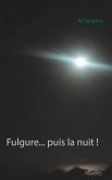 Fulgure... puis la nuit ! (eBook, ePUB)