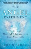 The Angel Experiment (eBook, ePUB)