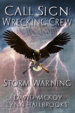 Storm Warning (Call Sign: Wrecking Crew, #1) (eBook, ePUB) - McKoy, David; Hallbrooks, Lynn