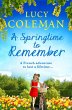 A Springtime To Remember (eBook, ePUB) - Bild 1