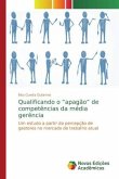 Qualificando o ¿apagão¿ de competências da média gerência