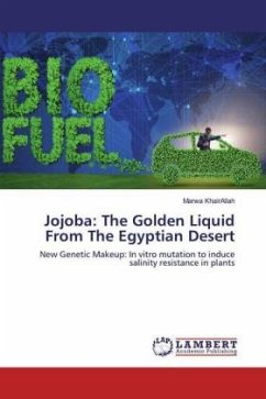 Jojoba: The Golden Liquid From The Egyptian Desert