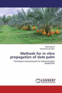 Methods for in vitro propagation of date palm
