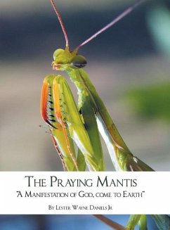 Cover The Praying Mantis