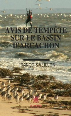 Avis de tempête sur le bassin d'Arcachon (eBook, ePUB) - Veillon, François