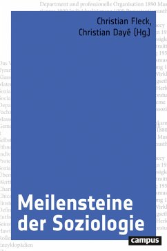 Meilensteine der Soziologie (eBook, PDF)