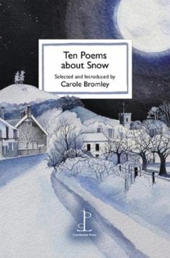 Cover Ten Poems about Snow