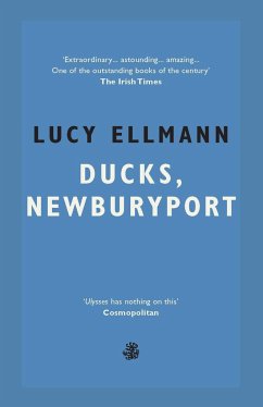 Ducks, Newburyport - Ellmann, Lucy