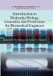 Introduction to Molecular Biology,... - Bild 1