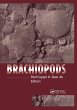Brachiopods - Bild 1