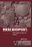 Brachiopods