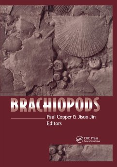 Brachiopods - Copper, Paul