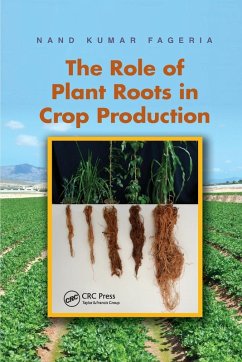 Cover The Role of Plant Roots in Crop Production