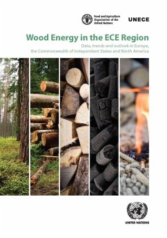 Wood Energy in the ECE Region (eBook, PDF)