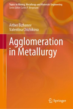 Agglomeration in Metallurgy (eBook, PDF) - Bizhanov, Aitber; Chizhikova, Valentina
