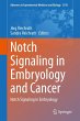 Notch Signaling in Embryology and Cancer - Bild 1