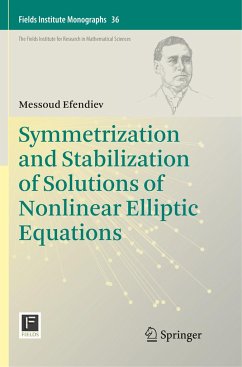 Symmetrization and Stabilization of Solutions of Nonlinear Elliptic Equations - Efendiev, Messoud