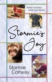Stormie's Joy (eBook, ePUB)