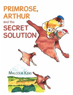 Primrose, Arthur and the Secret Solution - King, Malcolm