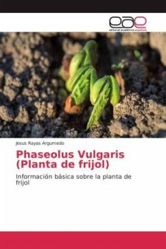 Phaseolus Vulgaris (Planta de frijol) - Rayas Argumedo, Jesus