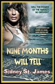 Nine Months Will Tell (The Storm Lord Trilogy Series, #2) (eBook, ePUB)
