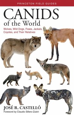 Canids of the World (eBook, ePUB) - Castelló, José R.