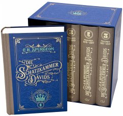 Cover Die Schatzkammer Davids