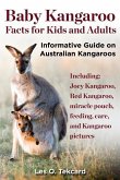 Baby Kangaroo Facts for Kids and Adults