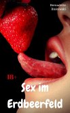 Sex im Erdbeerfeld (eBook, ePUB)
