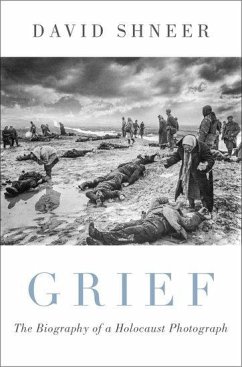 Grief - Shneer, David (Louis P. Singer Chair in Jewish History and Professor