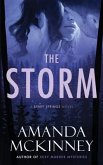 The Storm: A Berry Springs Novel