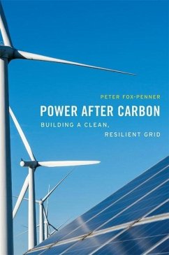 Power after Carbon - Fox-Penner, Peter