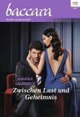 Zwischen Lust und Geheimnis (eBook, ePUB)