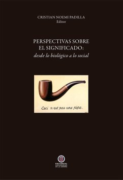 Perspectivas sobre el significado (eBook, ePUB) - Noemi Padilla, Cristián