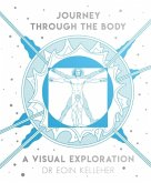 Journey Through the Body: A Visual Exploration