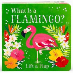 What Is a Flamingo? - Swift, Ginger