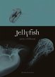 Jellyfish - Bild 1